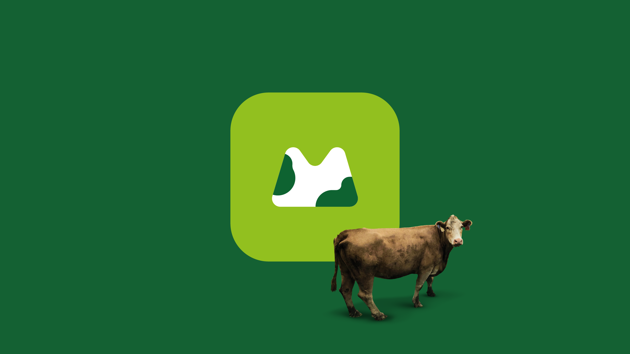 02-MeMoo-App-icon-v1