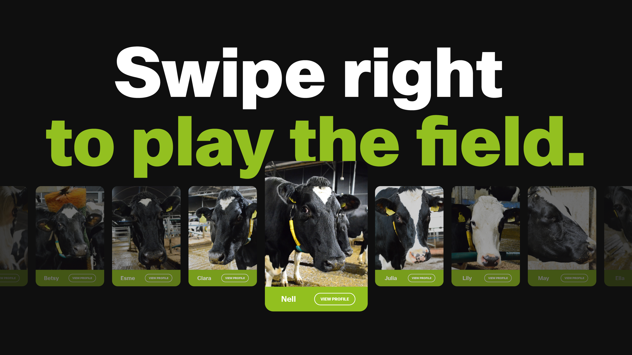 19-MeMoo-Cow-Cards-v1